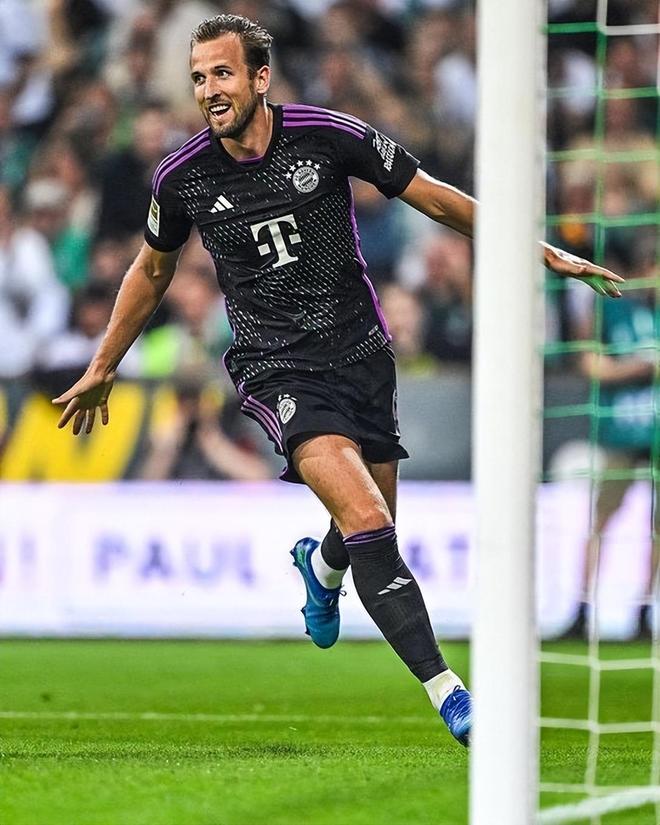 真核核心 真核核心