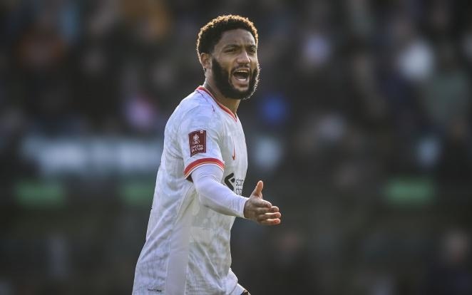 一个全新的 一个全新的